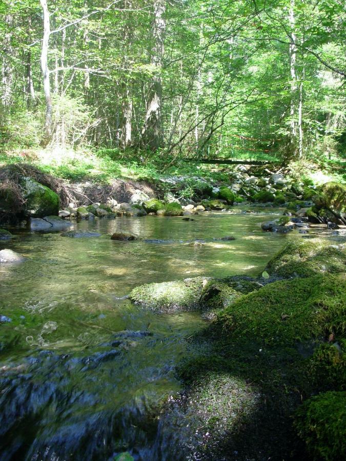 Weideblick Διαμέρισμα Tauplitz Εξωτερικό φωτογραφία