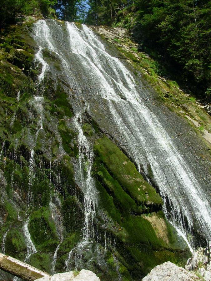 Weideblick Διαμέρισμα Tauplitz Εξωτερικό φωτογραφία