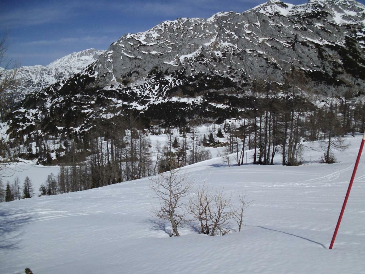 Weideblick Διαμέρισμα Tauplitz Εξωτερικό φωτογραφία