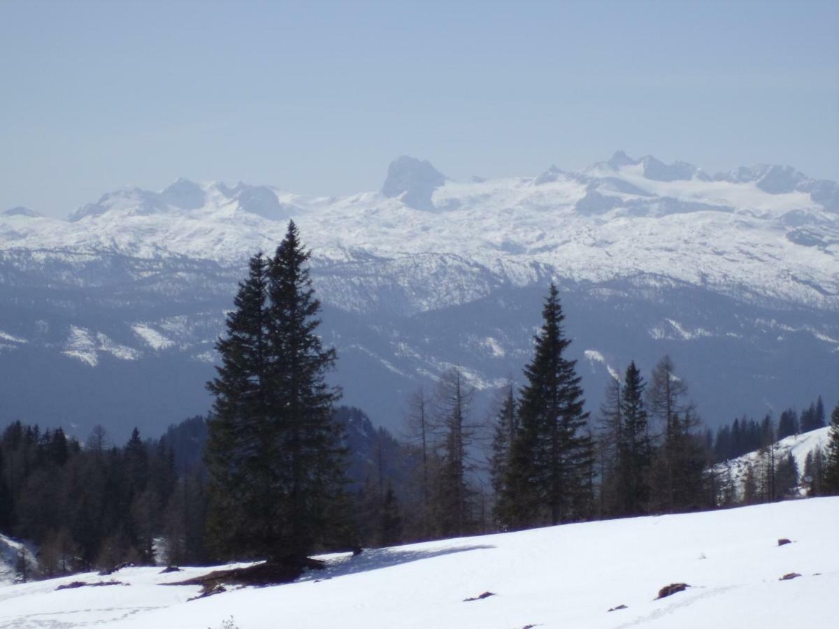Weideblick Διαμέρισμα Tauplitz Εξωτερικό φωτογραφία